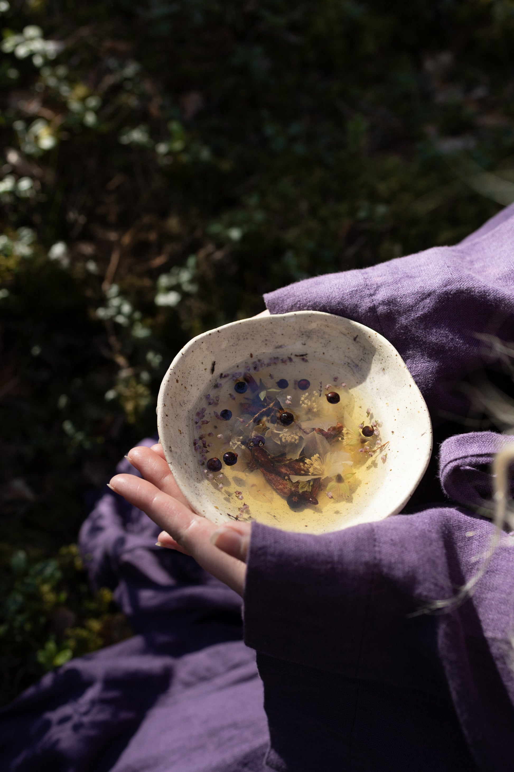 AGASAGA Wildcrafted Nordic herbal tea with juniper, heather, and forest leaves in a cup.