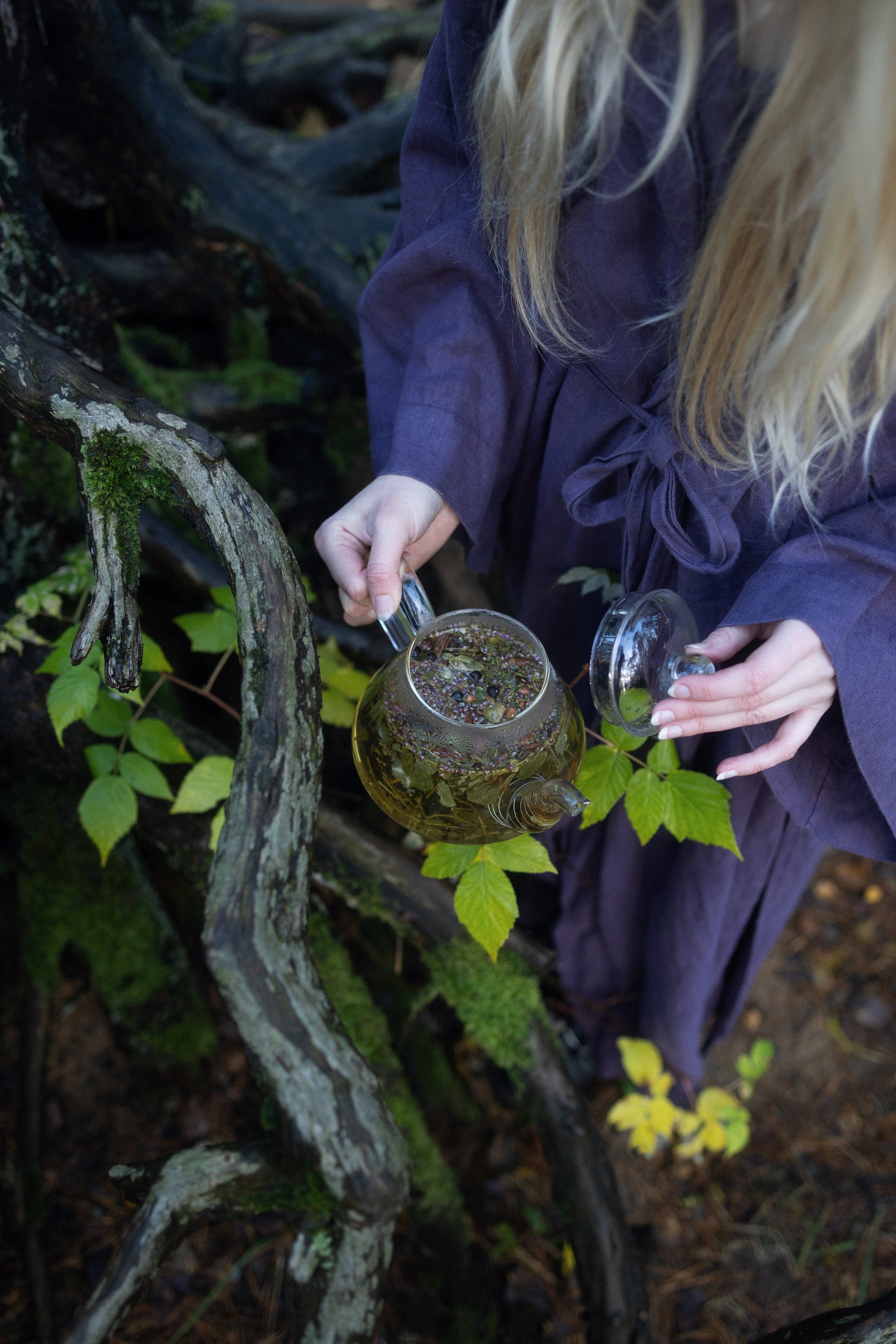 AGASAGA Wildcrafted Nordic herbal tea with juniper, heather, and forest leaves arranged on a mossy green background.
