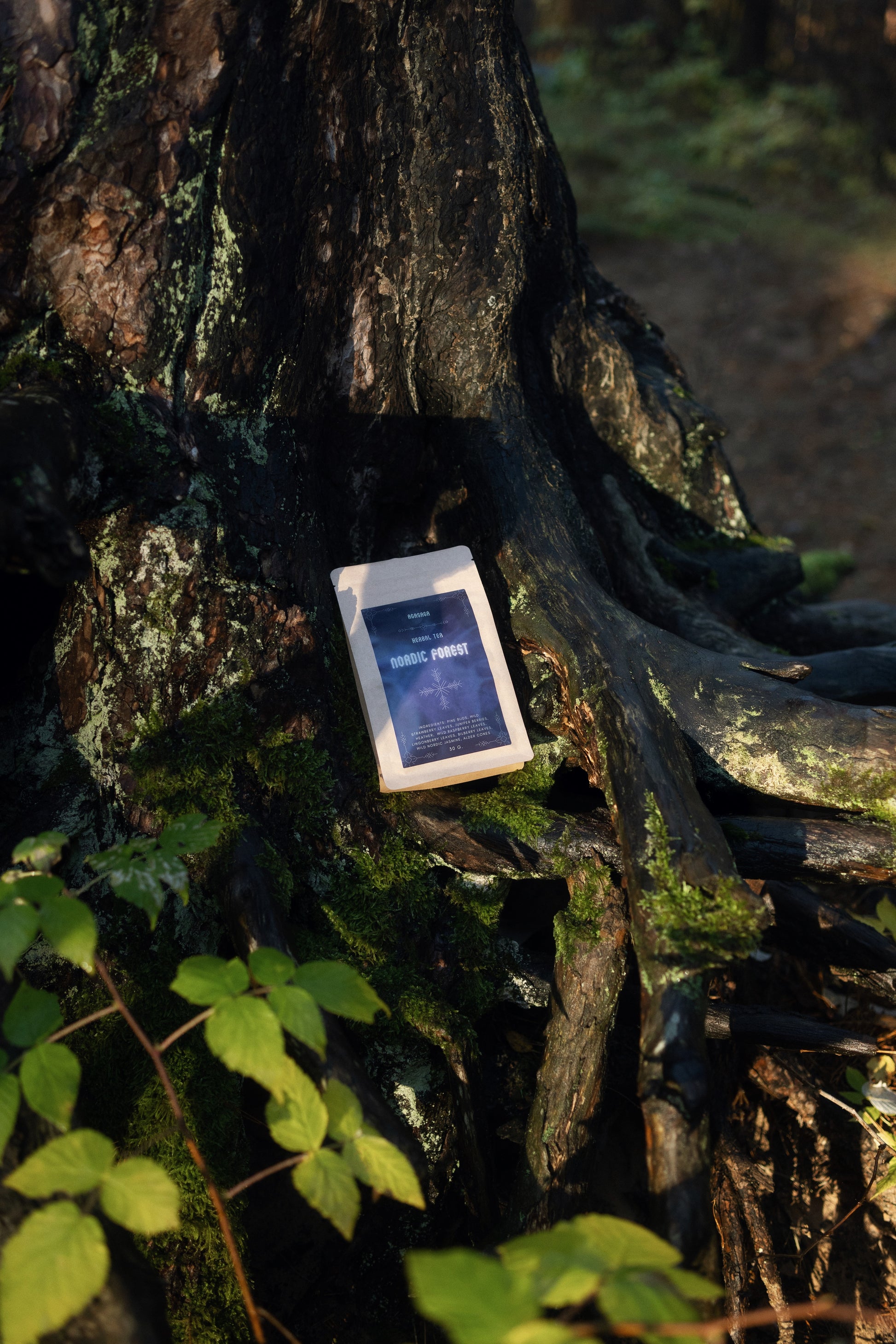 AGASAGA Wildcrafted Nordic herbal tea with juniper, heather, and forest leaves arranged on a mossy green background.